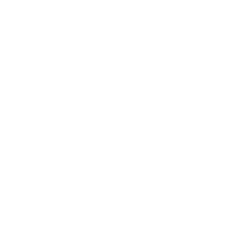 Seine financement courtier BNP Paribas