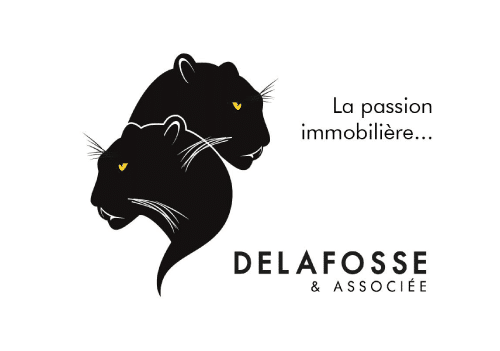 seine financement partenaire delafosse et associee