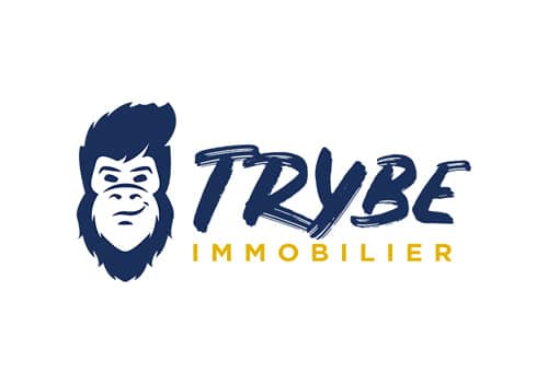 seine financement partenaire trybe immo